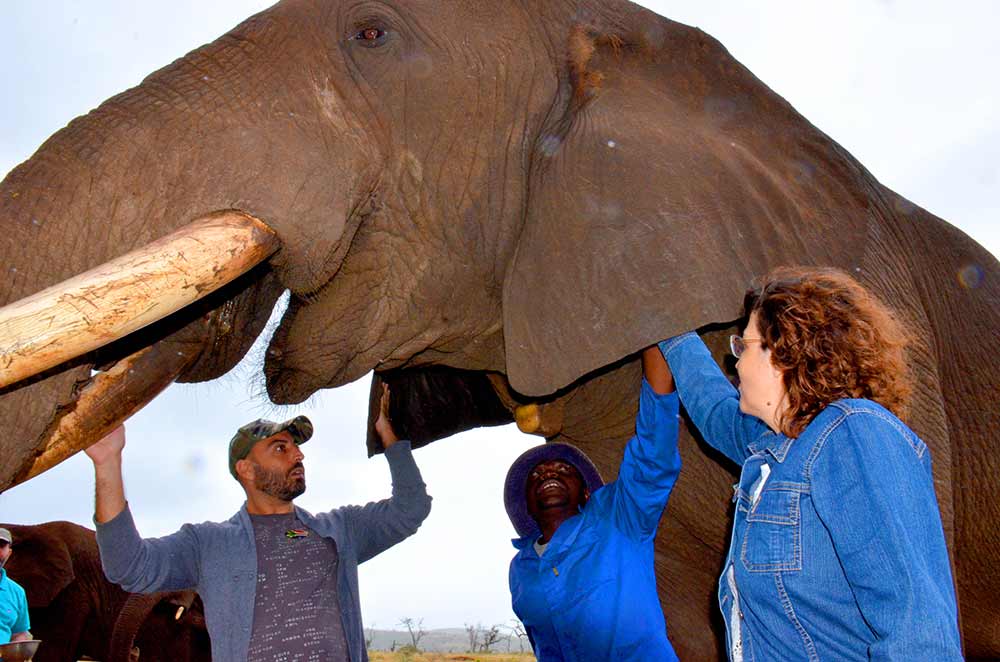 Zulu Safaris DURBAN South Africa - Bayete Elephant Interaction & iSimangaliso Wetlands Boat Safari