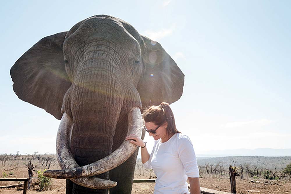 Zulu Safaris DURBAN South Africa - Bayete Elephant Interaction & iSimangaliso Wetlands Boat Safari