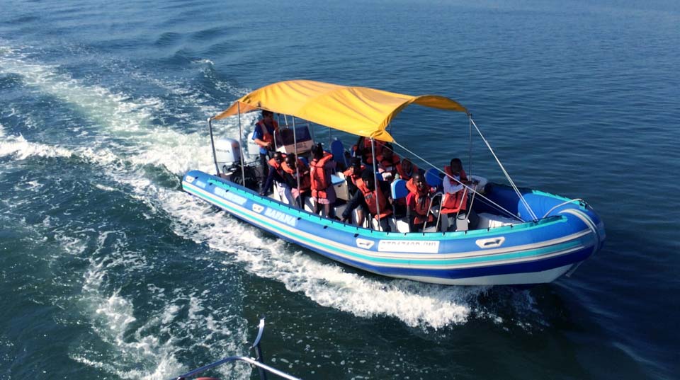 zulu-safaris-whale-dolphin-tours-03 Zulu Safaris - Whale & Dolphin Tours From Durban SOUTH AFRICA